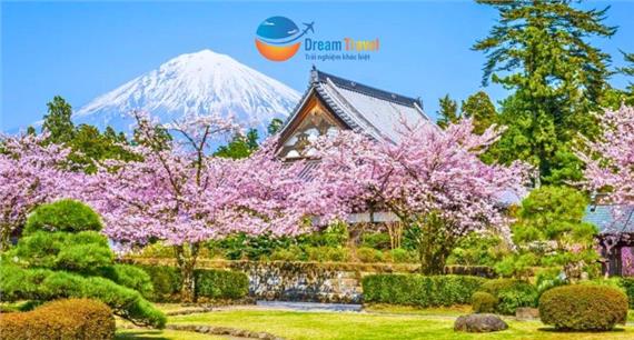 [HCM] Tour Nhật Bản Hành Trình Vàng Mùa Hoa Anh Đào